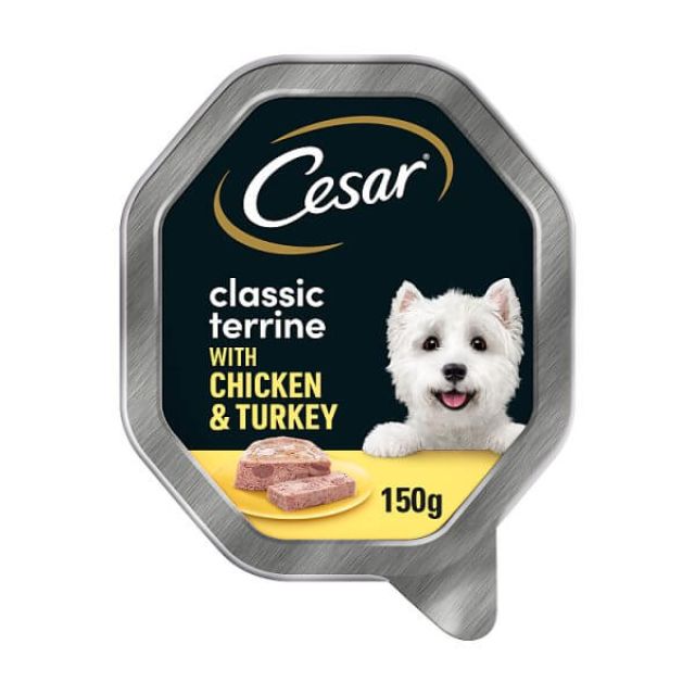CESAR® Classic Terrine Dog Food Tray Chicken & Turkey in Loaf